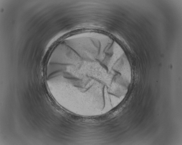 X0000081431070200702092154