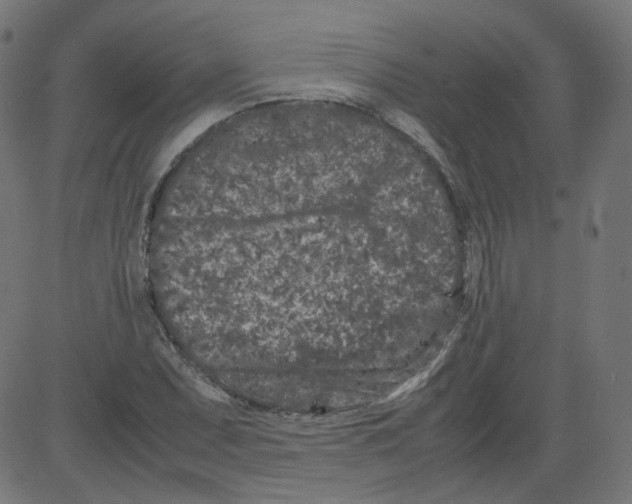 X0000081431071200702092154