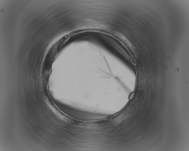 X0000081431072200702092154