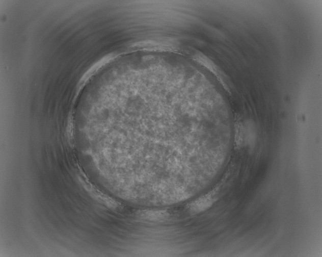 X0000081431074200702092154