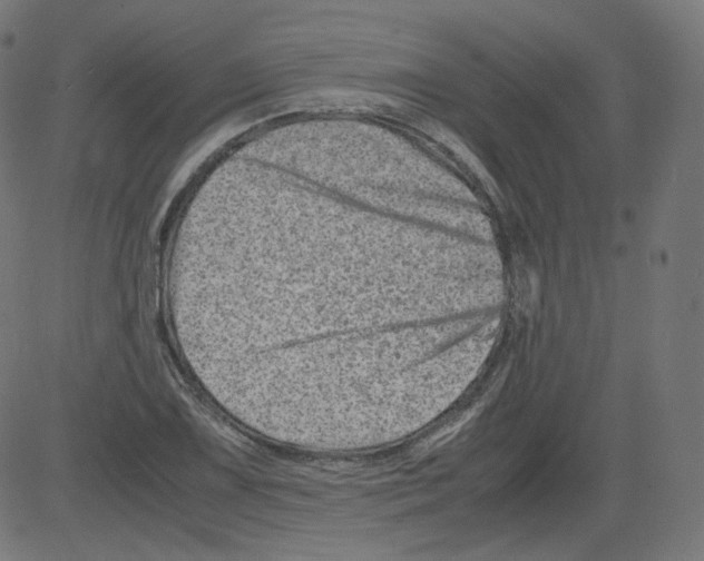 X0000081431075200702092154