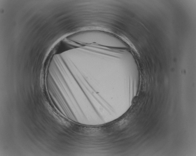 X0000081431076200702092154