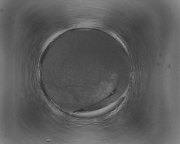 X0000081431077200702092154