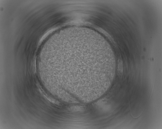 X0000081431078200702092154