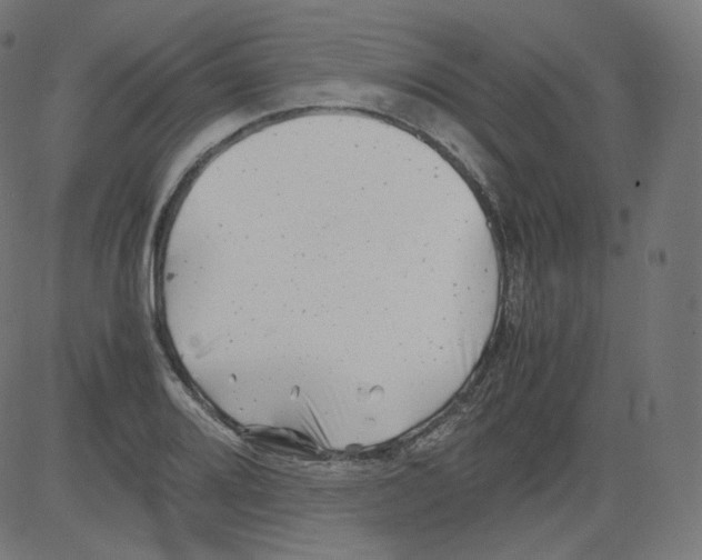 X0000081431080200702092154