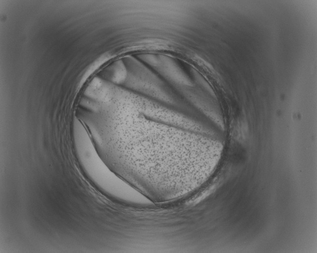 X0000081431081200702092153