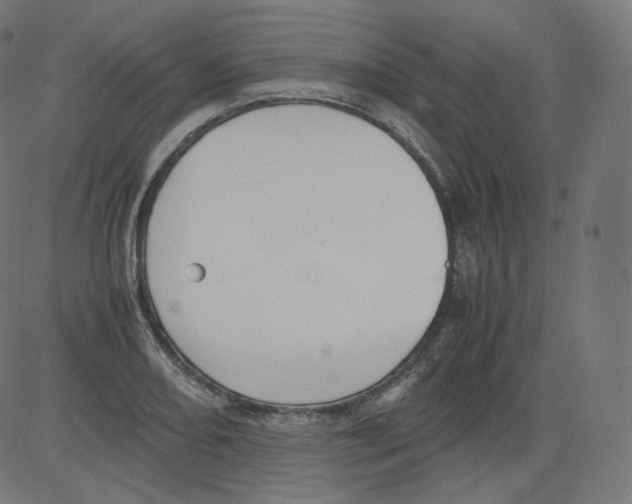 X0000081431082200702092153