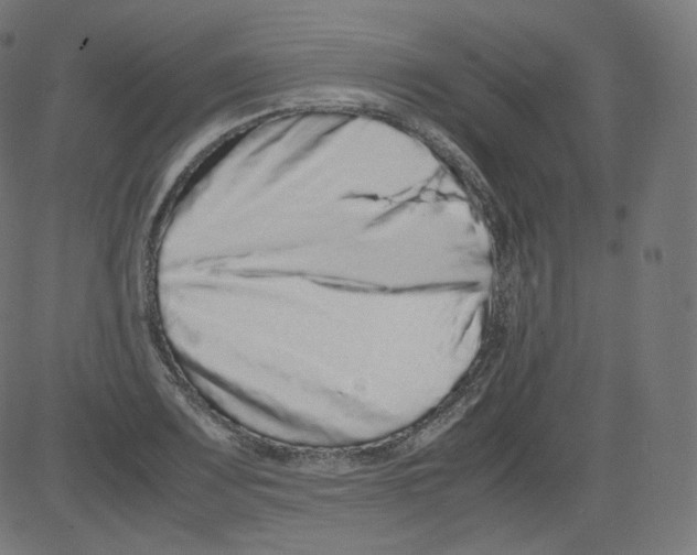 X0000081431083200702092153