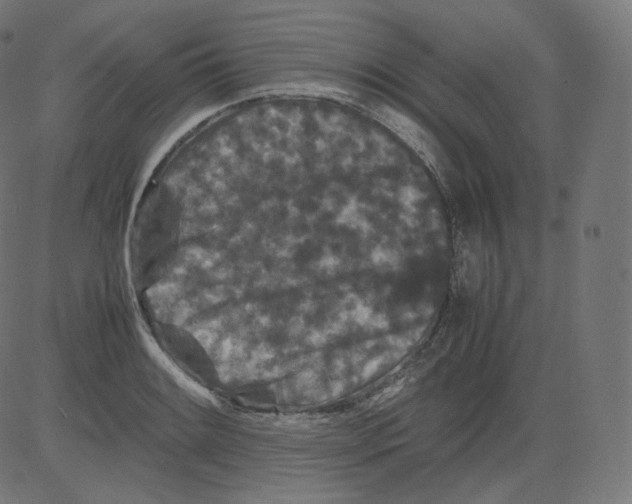 X0000081431084200702092153