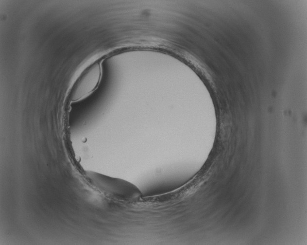 X0000081431085200702092153