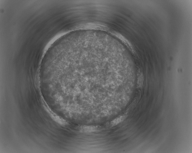 X0000081431086200702092153