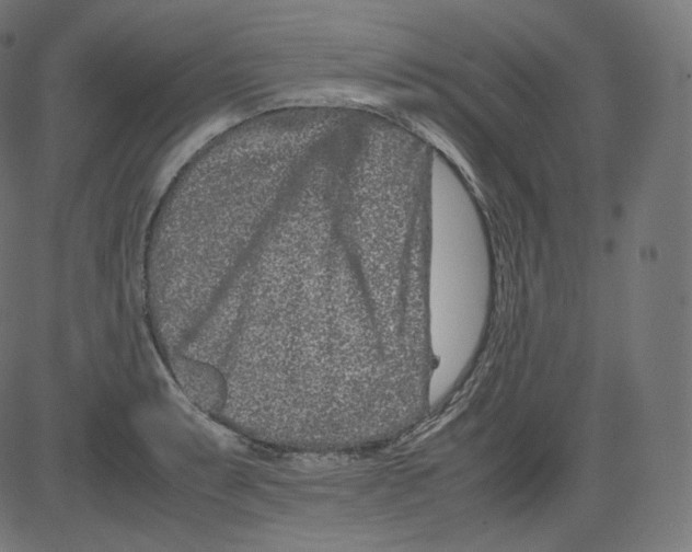 X0000081431087200702092153