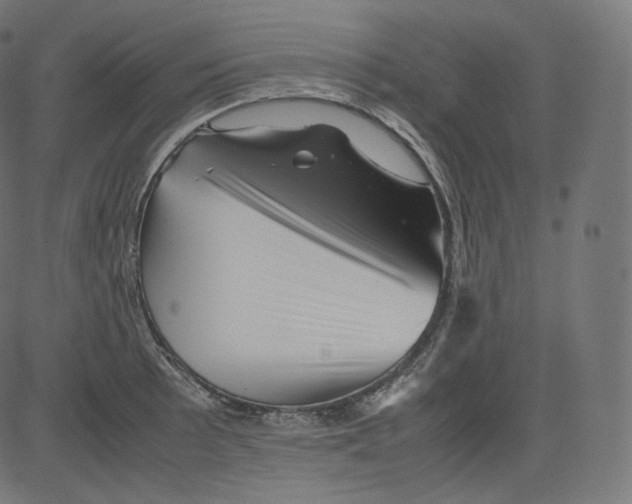 X0000081431089200702092153