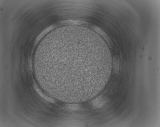 X0000081431090200702092153