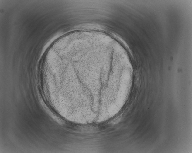 X0000081431091200702092153