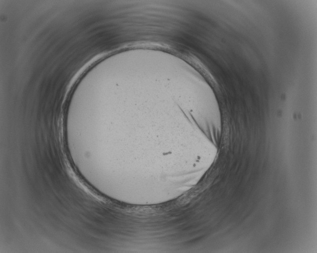 X0000081431092200702092153