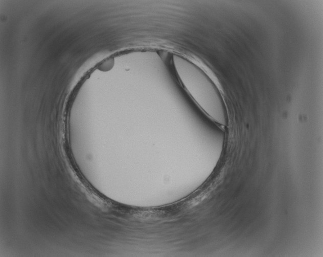 X0000081431093200702092153