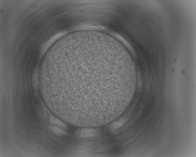 X0000081431094200702092153