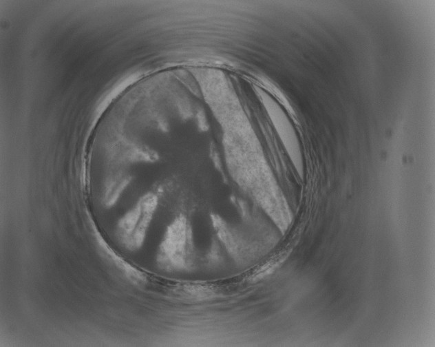 X0000081431095200702092153