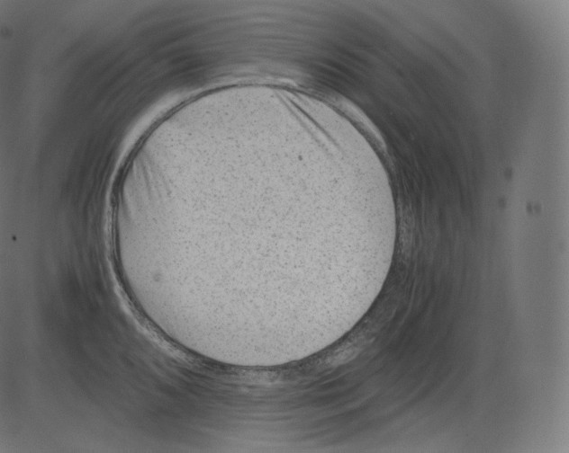 X0000081431096200702092153