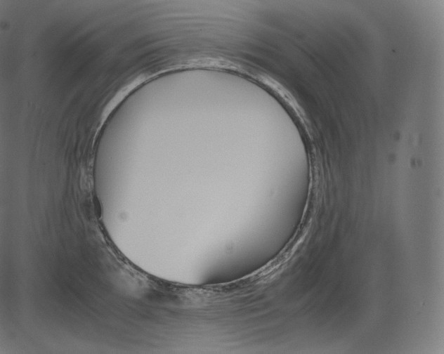 X0000081431097200702092153