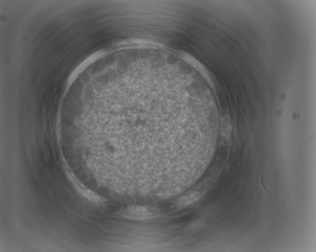 X0000081431098200702092153