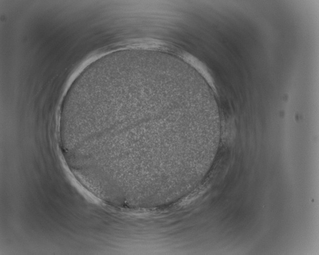 X0000081431099200702092153