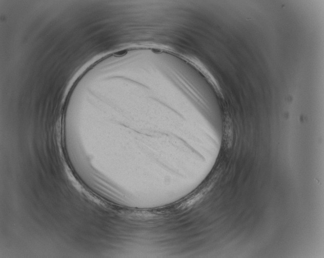 X0000081431100200702092153