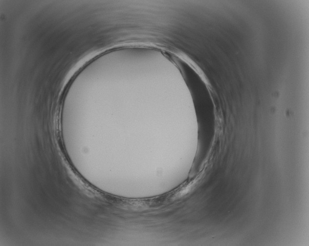 X0000081431101200702092153