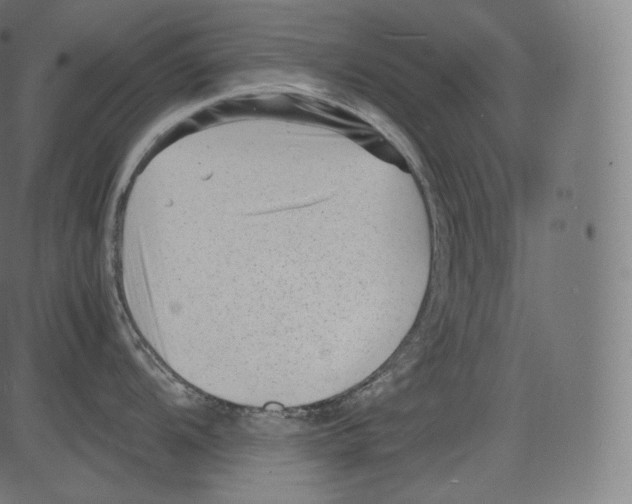 X0000081431104200702092153