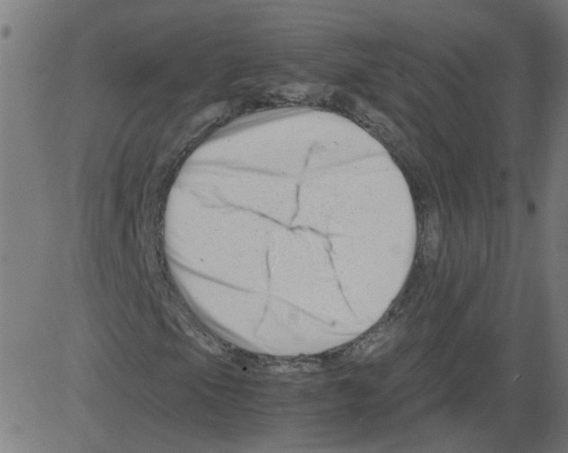 X0000081431105200702092152