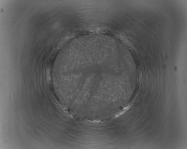 X0000081431106200702092152