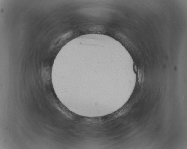 X0000081431107200702092152