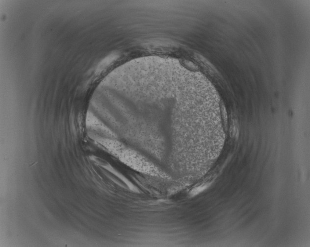 X0000081431108200702092152