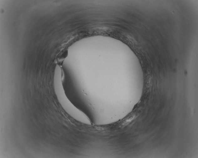 X0000081431109200702092152