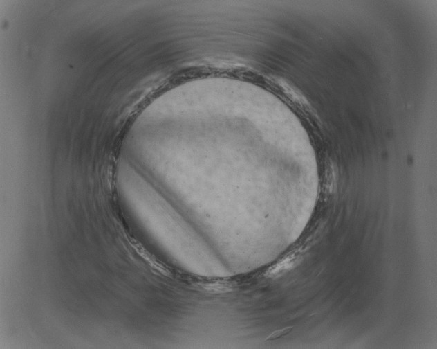 X0000081431110200702092152