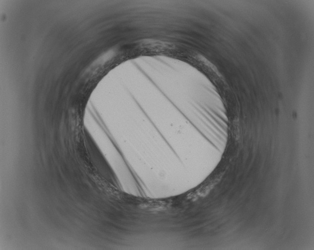 X0000081431111200702092152