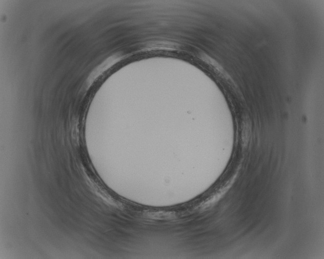 X0000081431113200702092152