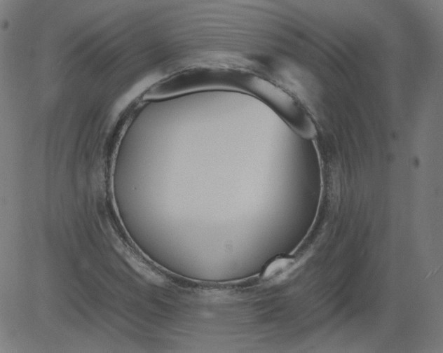 X0000081431114200702092152