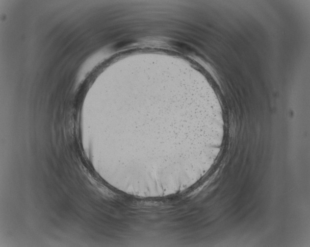 X0000081431115200702092152