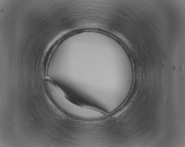 X0000081431118200702092153