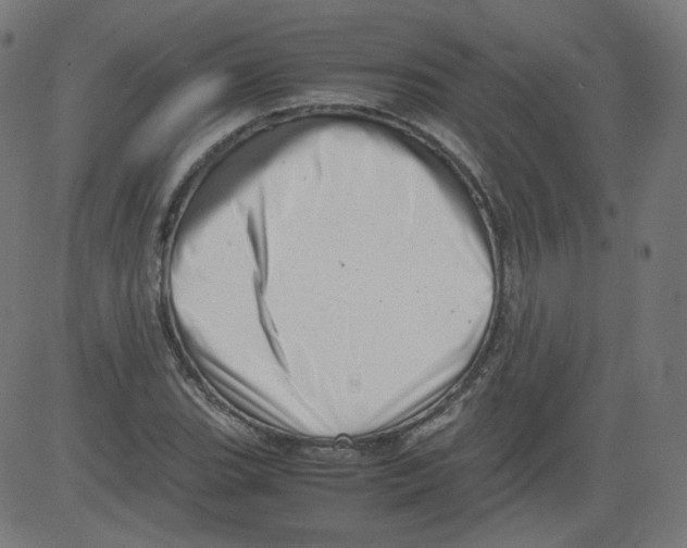 X0000081431119200702092153