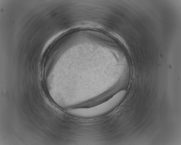 X0000081431120200702092153