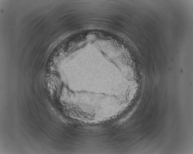 X0000081431121200702092153