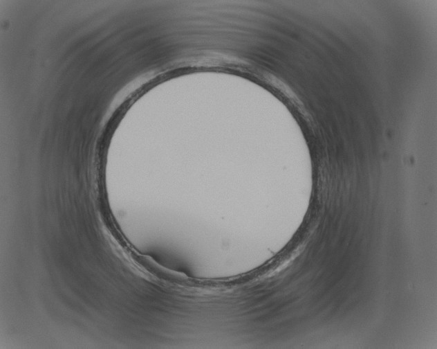 X0000081431122200702092153