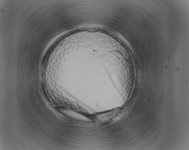 X0000081431124200702092153