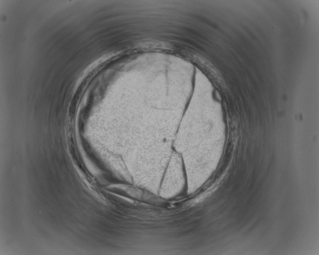 X0000081431125200702092153