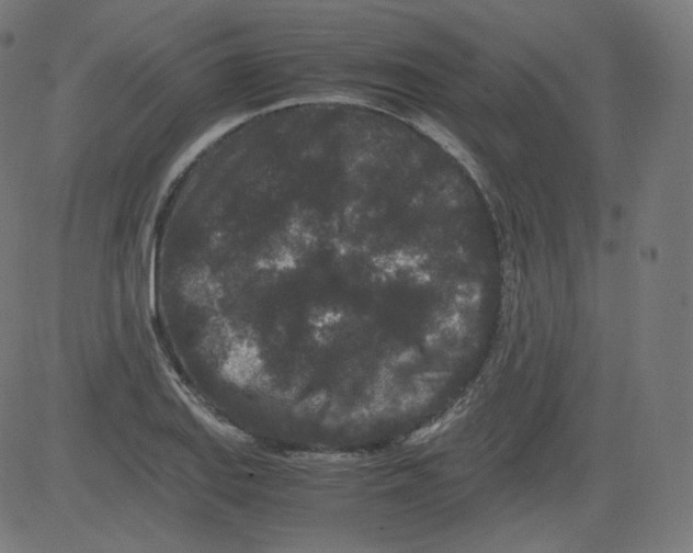 X0000081431127200702092153