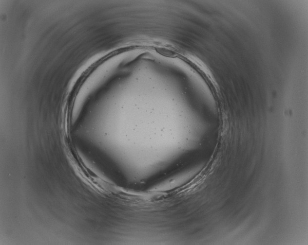 X0000081431128200702092153