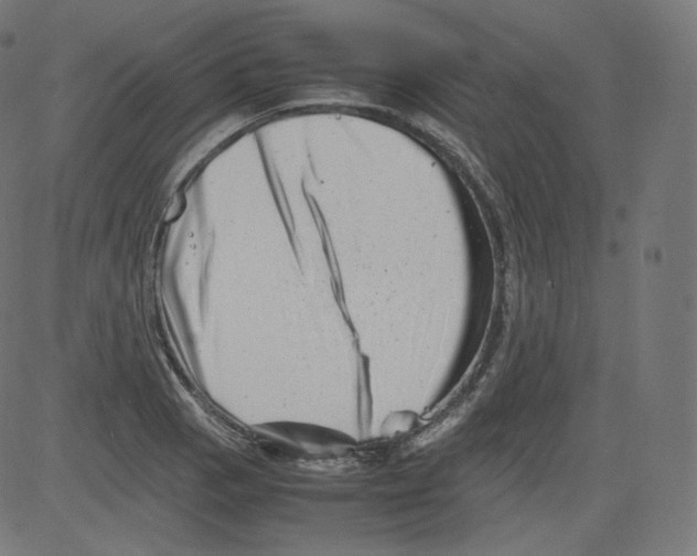 X0000081431129200702092153